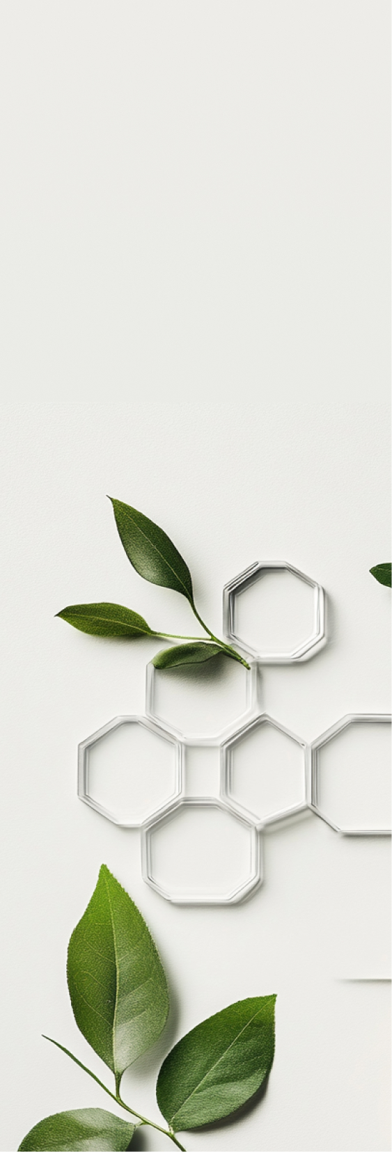 ingredients-bg