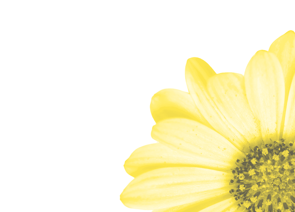 line-logo-spf